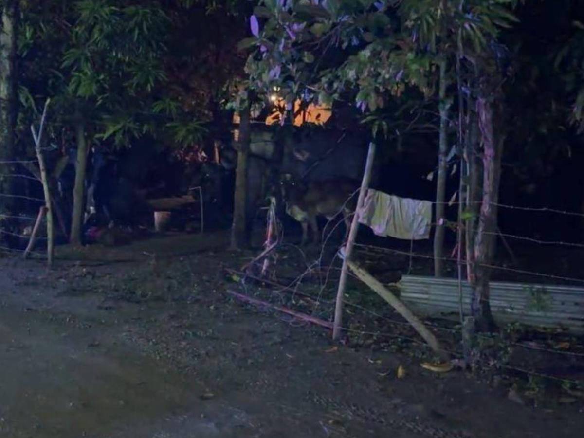 “El día que muera...”: Últimos mensajes de tiktoker acribillado en Potrerillos, Cortés