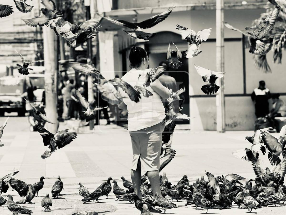El vuelo de las palomas transforma la Iglesia Los Dolores en una postal única