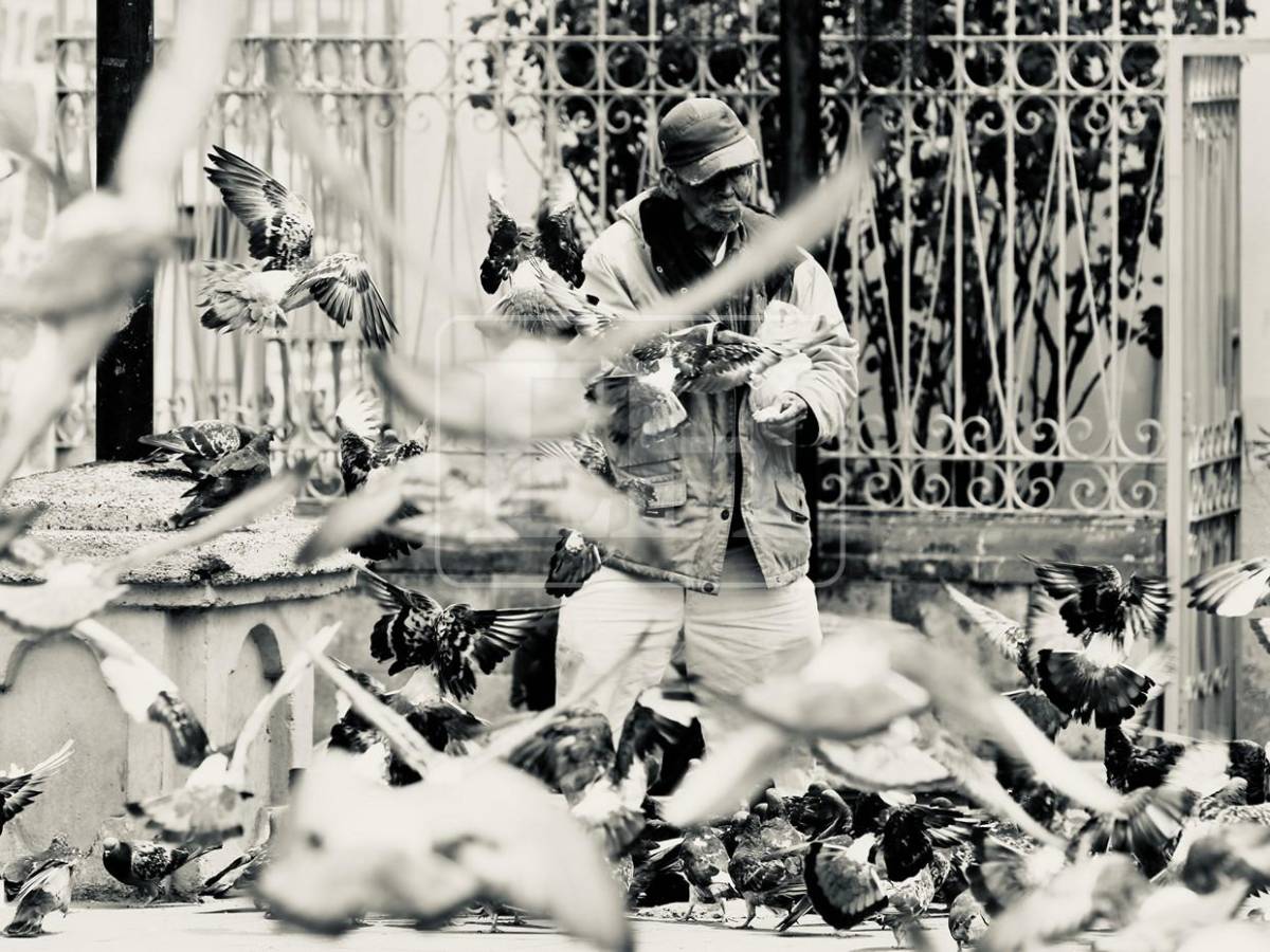 El vuelo de las palomas transforma la Iglesia Los Dolores en una postal única