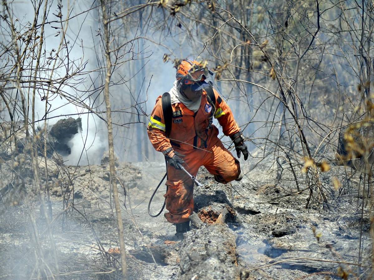 Las Imágenes del Año 2024 en Honduras