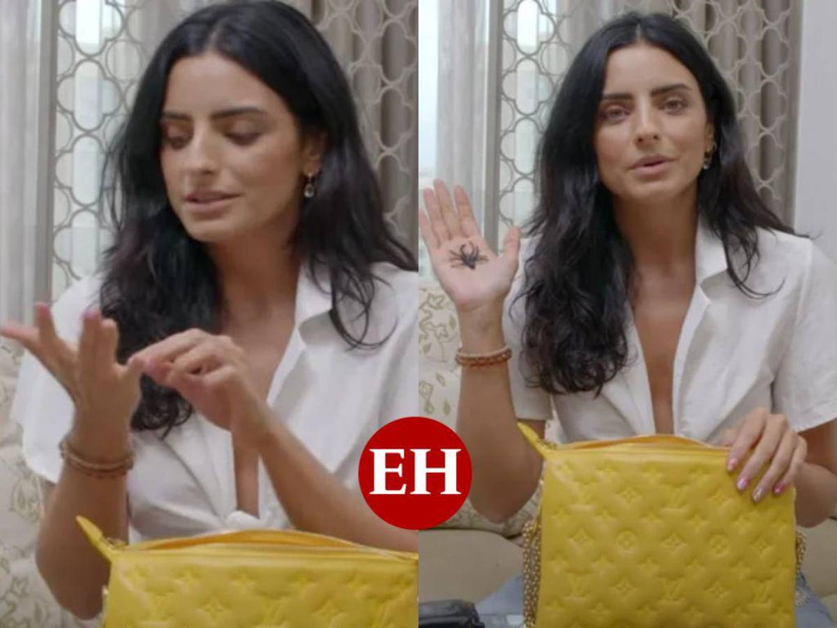 Aislinn Derbez confiesa que lleva una araña en la cartera para la buena suerte