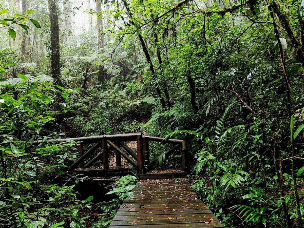 Conoce los parques nacionales de Honduras ideales para visitar en Semana Santa