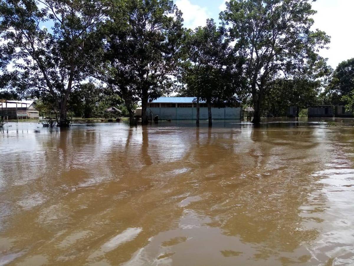 Aún no reciben respuesta.