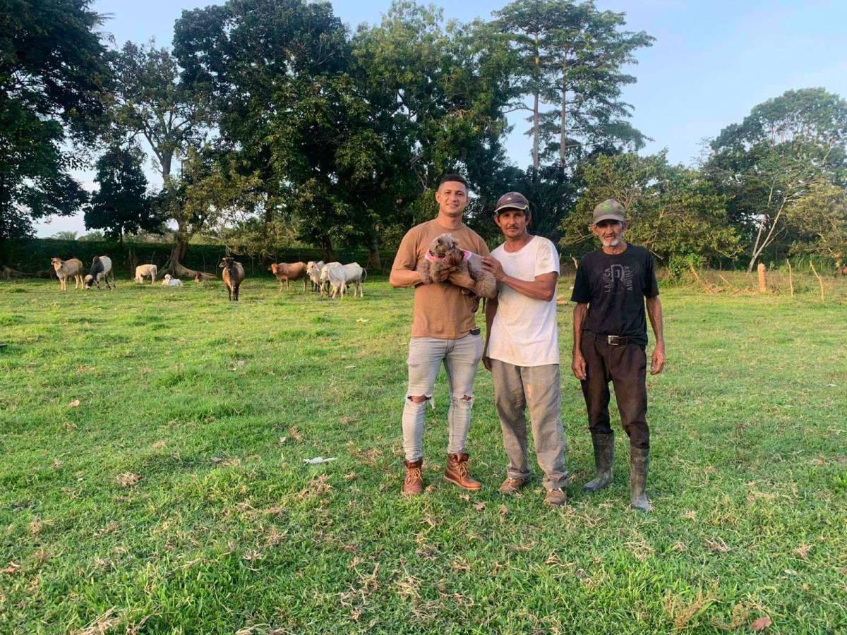 Futbolistas hondureños que decidieron tener negocio propio: Ganadería y restaurantes destacan