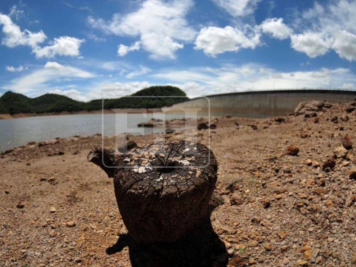 Imagen que preocupa: surge una isla en medio de la represa La Concepción ante sequía
