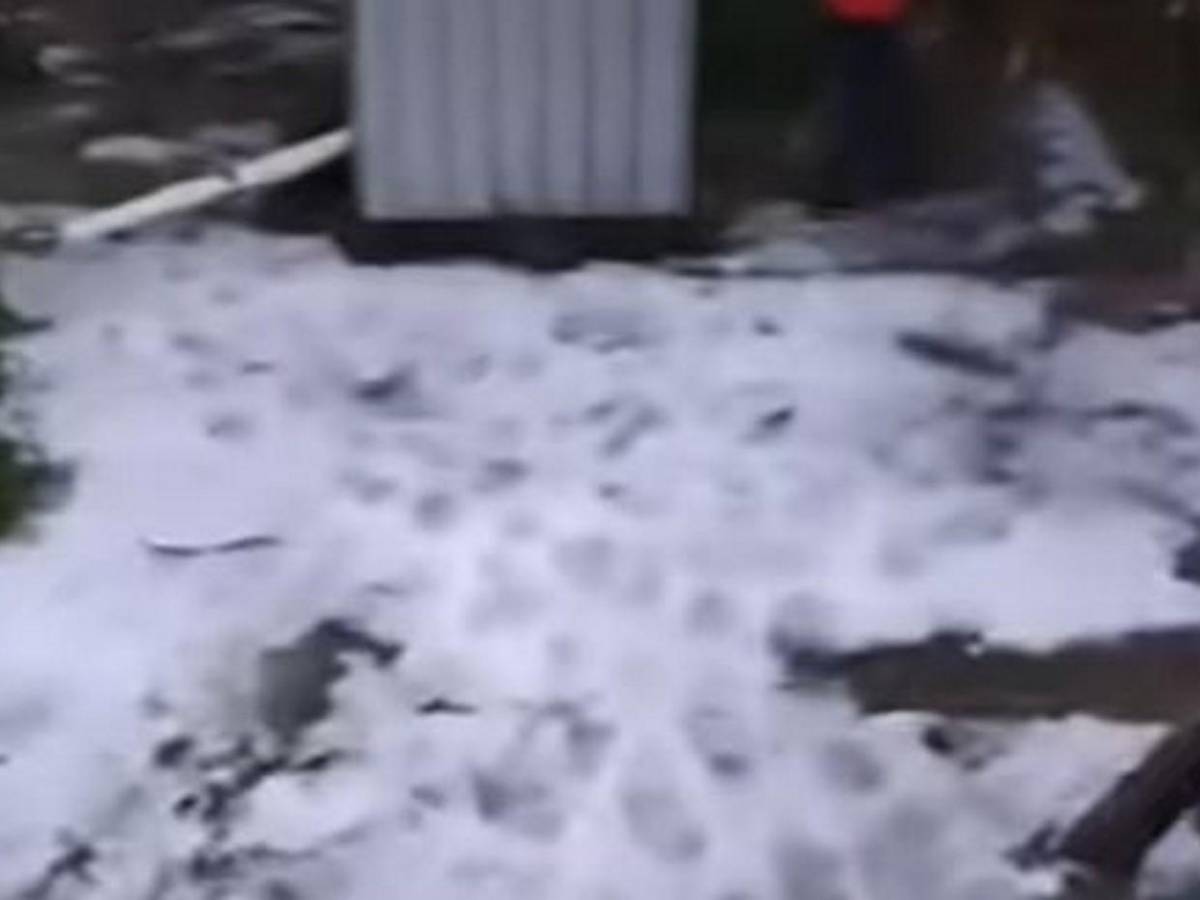 Es una gran decepción: tormenta de granizo causa estragos en cultivos de Intibucá