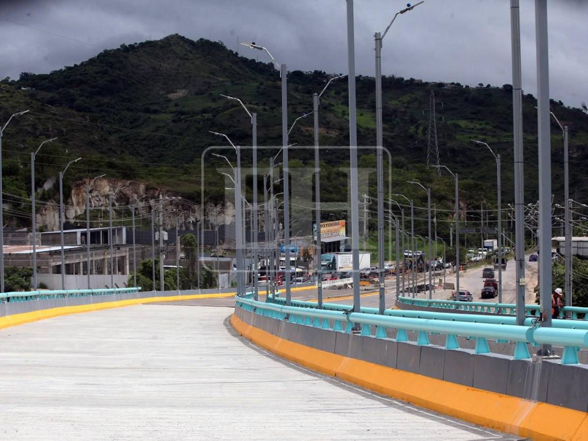 Juan Diego Zelaya sobre puente Papa Francisco: No lo vamos a habilitar hasta tener certeza técnica