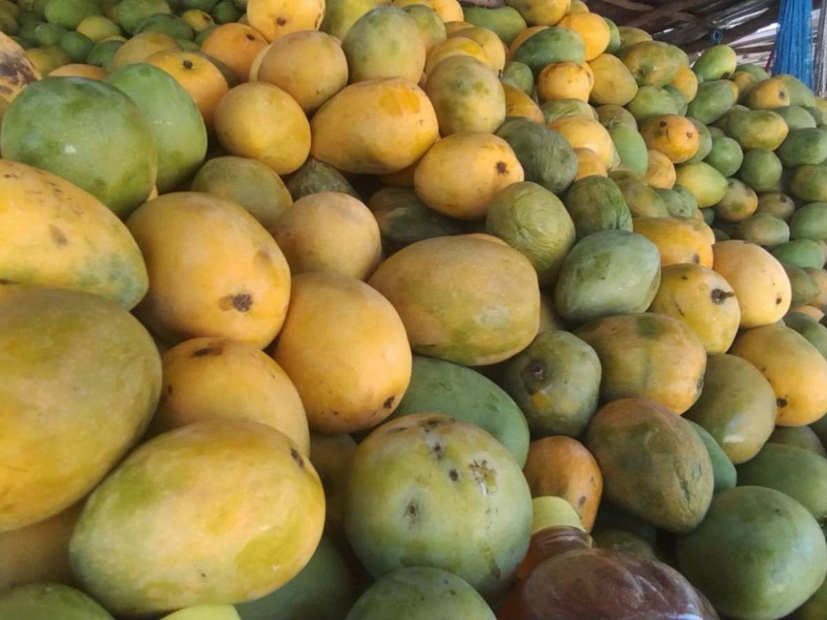 Pespire presume su mango y otras apetitosas frutas de verano Pespire presume su mango y otras apetitosas frutas de verano