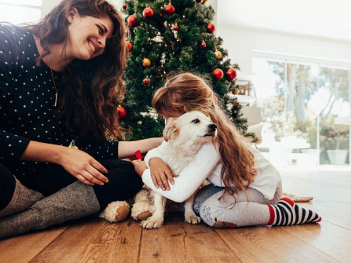 ¿Se deben regalar mascotas en la temporada navideña?