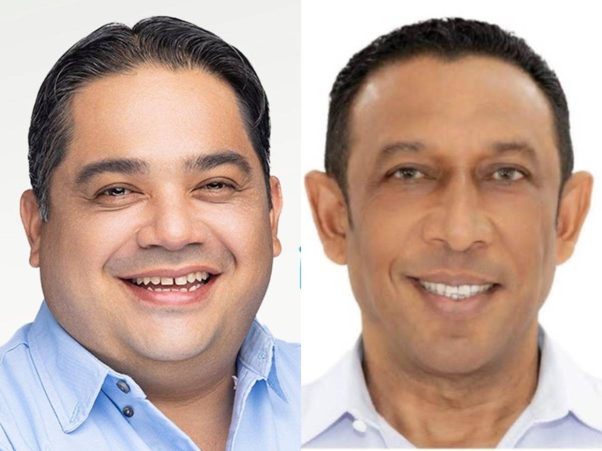 Los 29 diputados del Partido Nacional que buscan la reelección en 2025