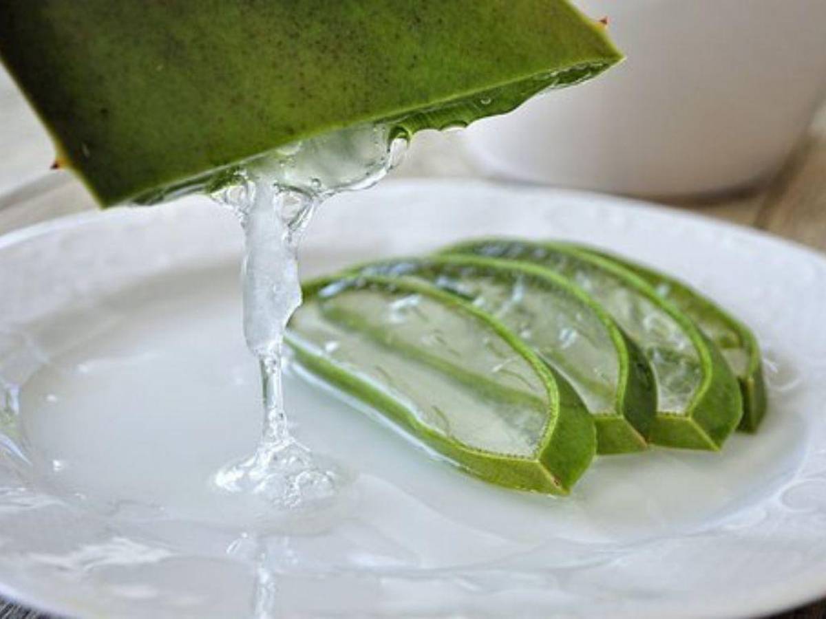 Sus propiedades antiinflamatorias y analgésicas permiten aliviar el dolor y la inflamación.