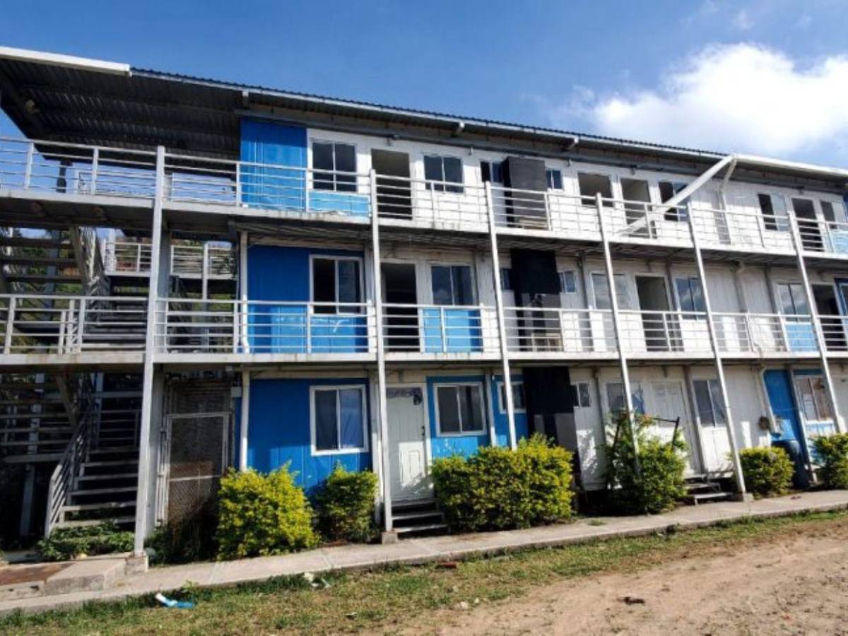 Se robaron los sanitarios y las casas son habitadas por vacas: crisis en Lomas del Diamante