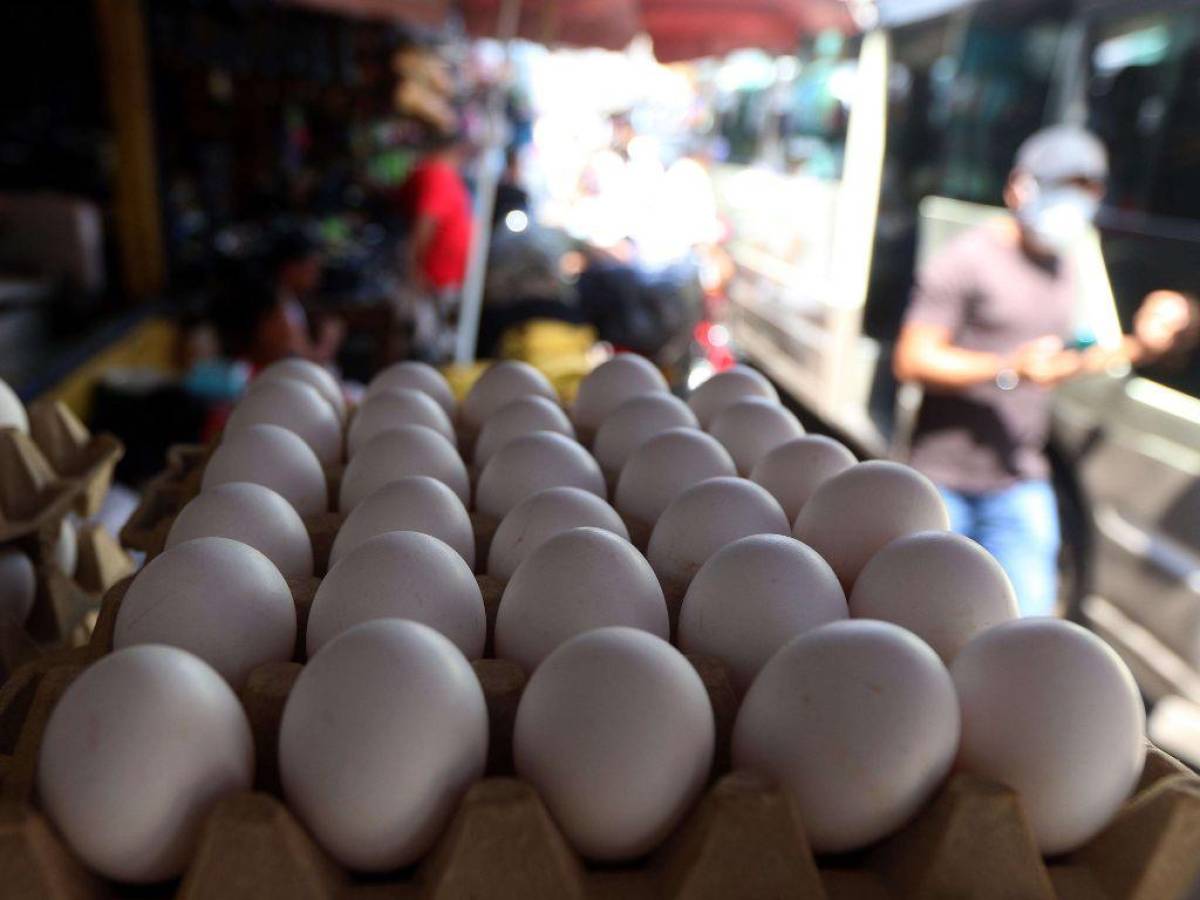 Al parecer los huevos tendrán otro incremento por la demanda del mes de diciembre.