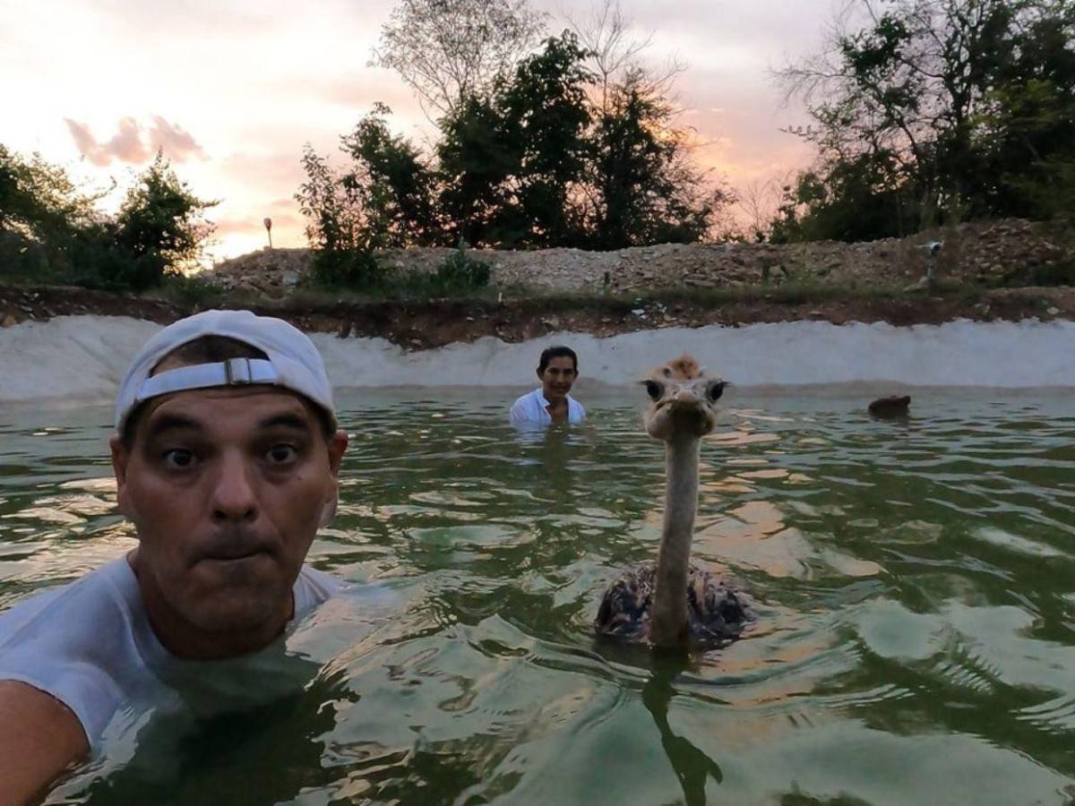 Animales comprados, gatos y perros envenenados: Situación en 'santuario' de Frank Cuesta