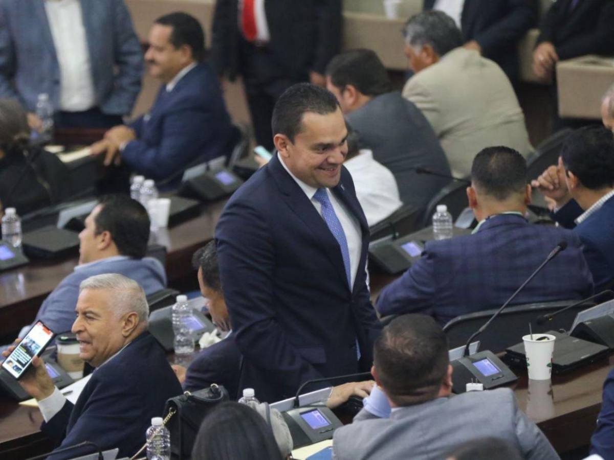 Mientras Redondo está en Marruecos, Congreso Nacional desarrolla sesión legislativa