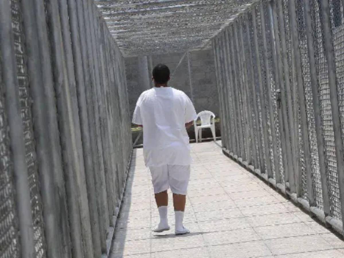 Sin visitas conyugales y con un vidrio de por medio: maras y pandillas sin contacto físico en las cárceles