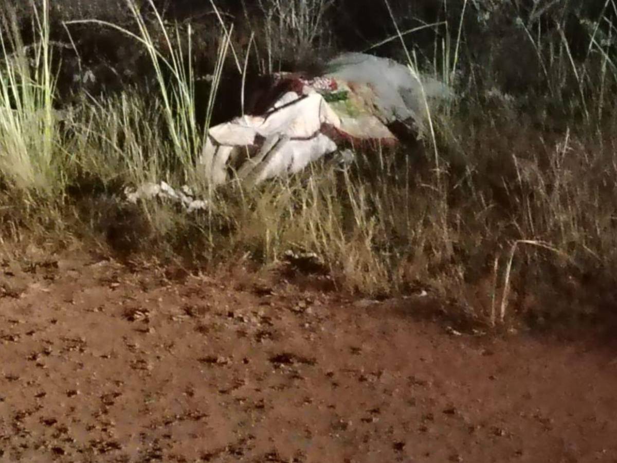 Inspeccionan vehículo de Miguel Salgado, médico que fue asesinado en Lomas del Diamante