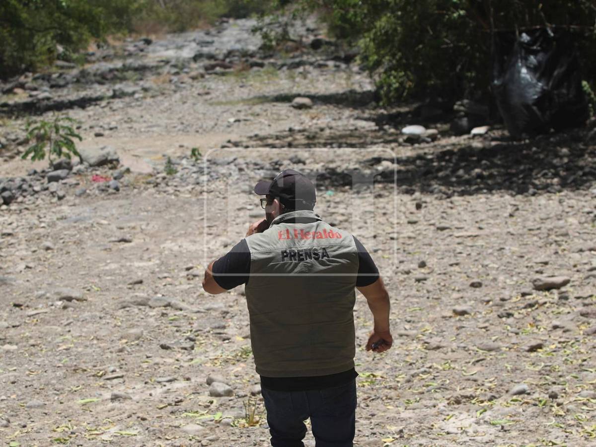 Sin agua ni forraje: la lucha diaria de pequeños ganaderos por salvar sus vacas