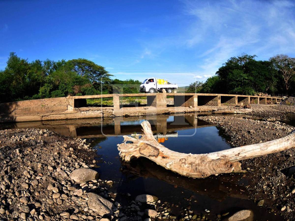 Sin agua ni forraje: la lucha diaria de pequeños ganaderos por salvar sus vacas