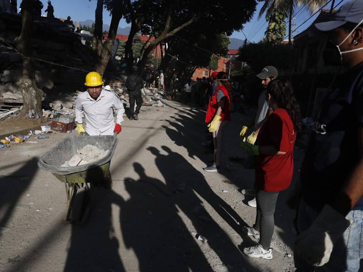 Antonio, el perro rescatado entre escombros da esperanza a una familia en Cali