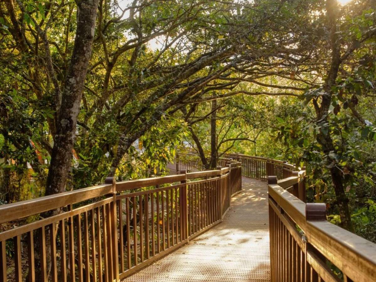 Top 7 de lugares para disfrutar en Tegucigalpa y alrededores esta Semana Morazánica 2026