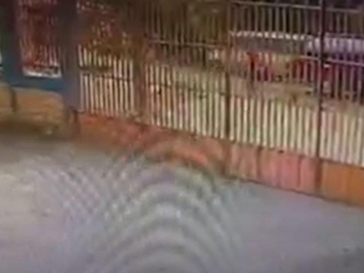 Cuadro a cuadro: cámara capta el momento en que Kellin Flores es arrollada por un camión cisterna
