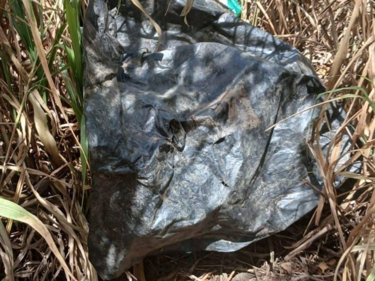 Dennis Maradiaga mató a su amigo y llevó su cuerpo en una carreta para ocultarlo