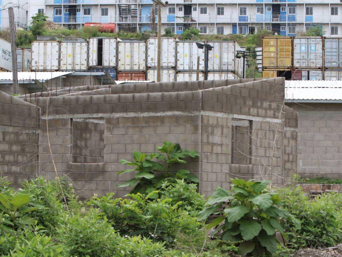 Se robaron los sanitarios y las casas son habitadas por vacas: crisis en Lomas del Diamante