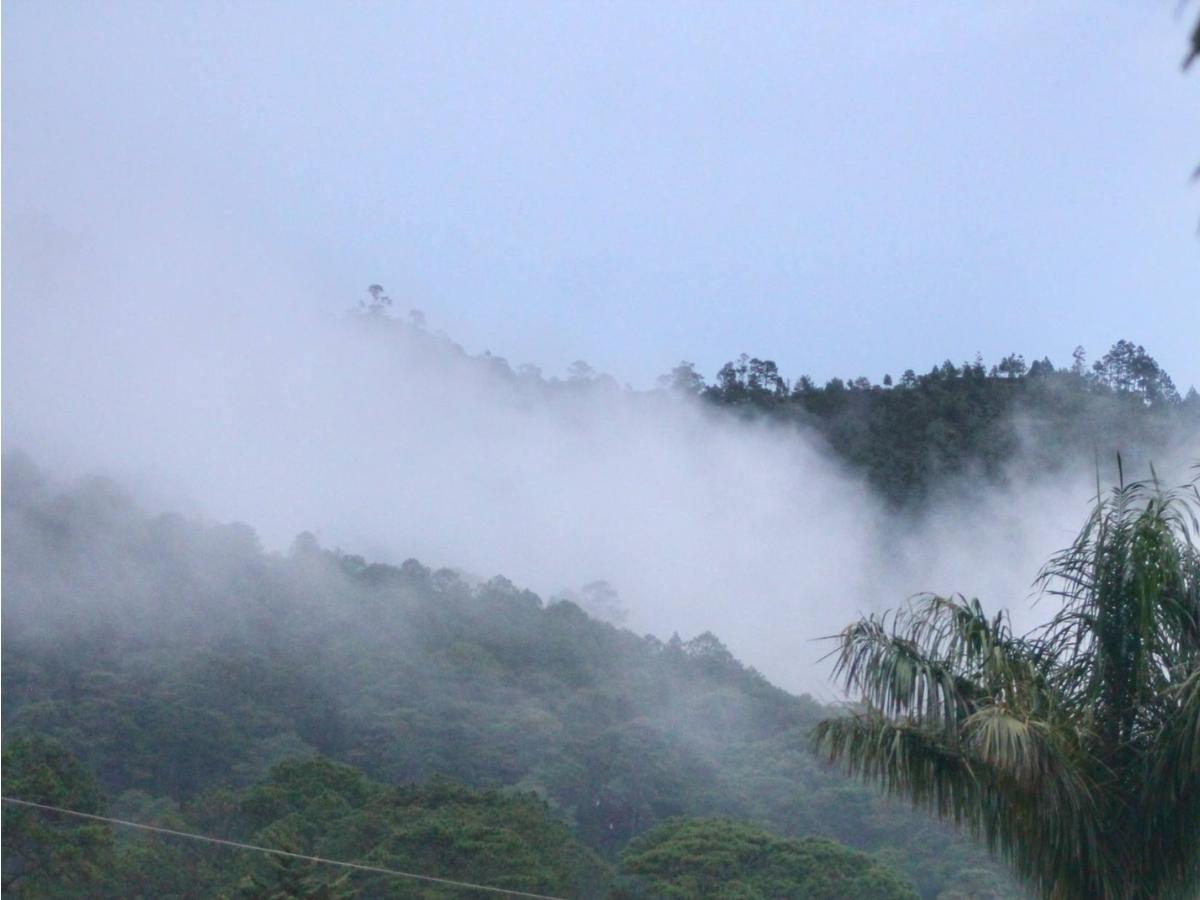 Intibucá llegó hasta 2 grados: así se sintió la madrugada más helada de Honduras