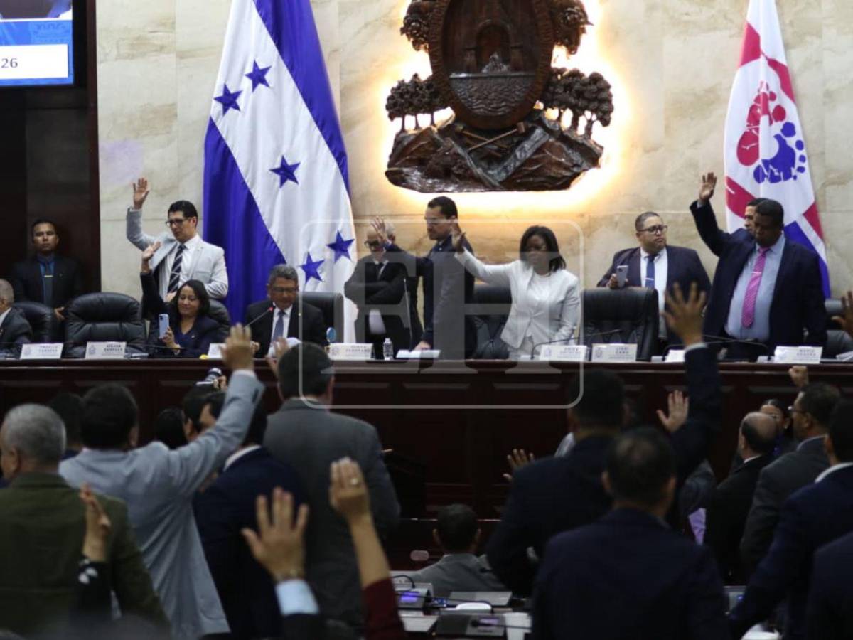 ¿Quiénes pueden ser electos para sustituir en el cargo a Marlon Ochoa y a Mario Morazán?