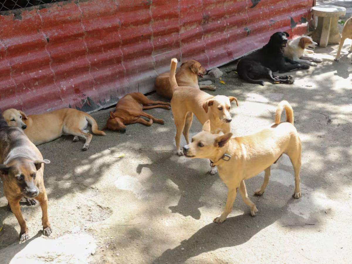 ¿Cómo reportar a un familiar desaparecido tras terremotos en Venezuela y saber si ya fue localizado?