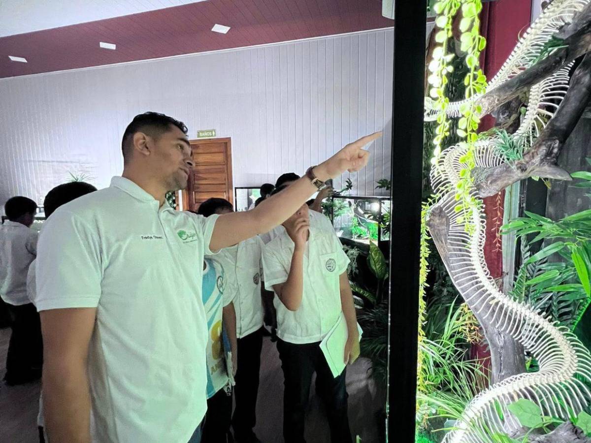 Hondureño transforma placentas en arte y huesos en esculturas sorprendentes