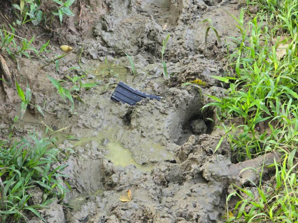 Fusiles AR-15 y municiones: el arsenal decomisado a los siete sospechosos de la masacre de Rigores