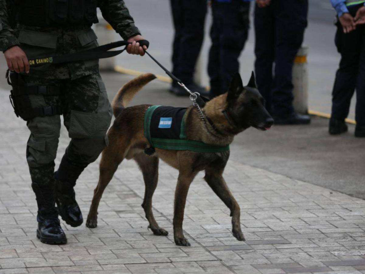 Accesos al Banco Central de Honduras cerrados por la IX Cumbre de la Celac