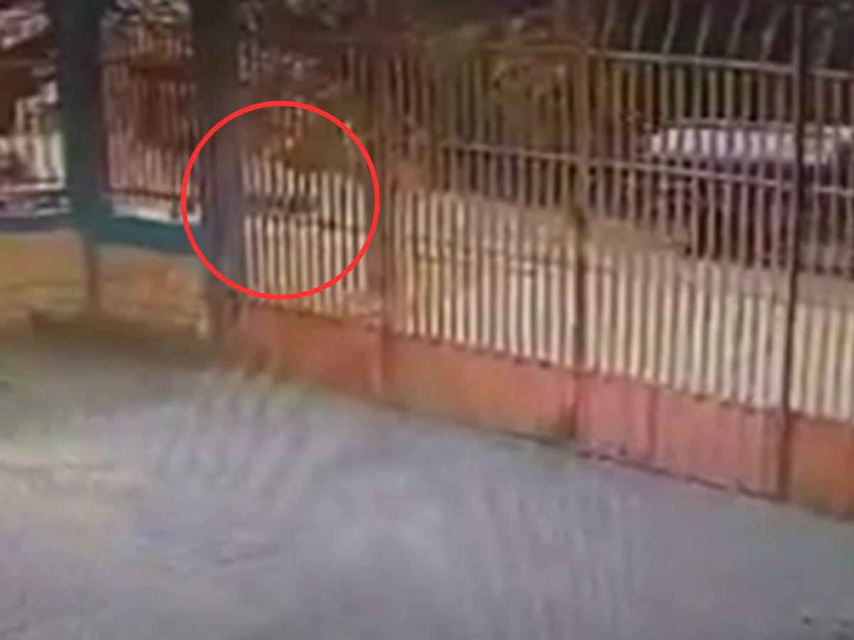 Cuadro a cuadro: cámara capta el momento en que Kellin Flores es arrollada por un camión cisterna