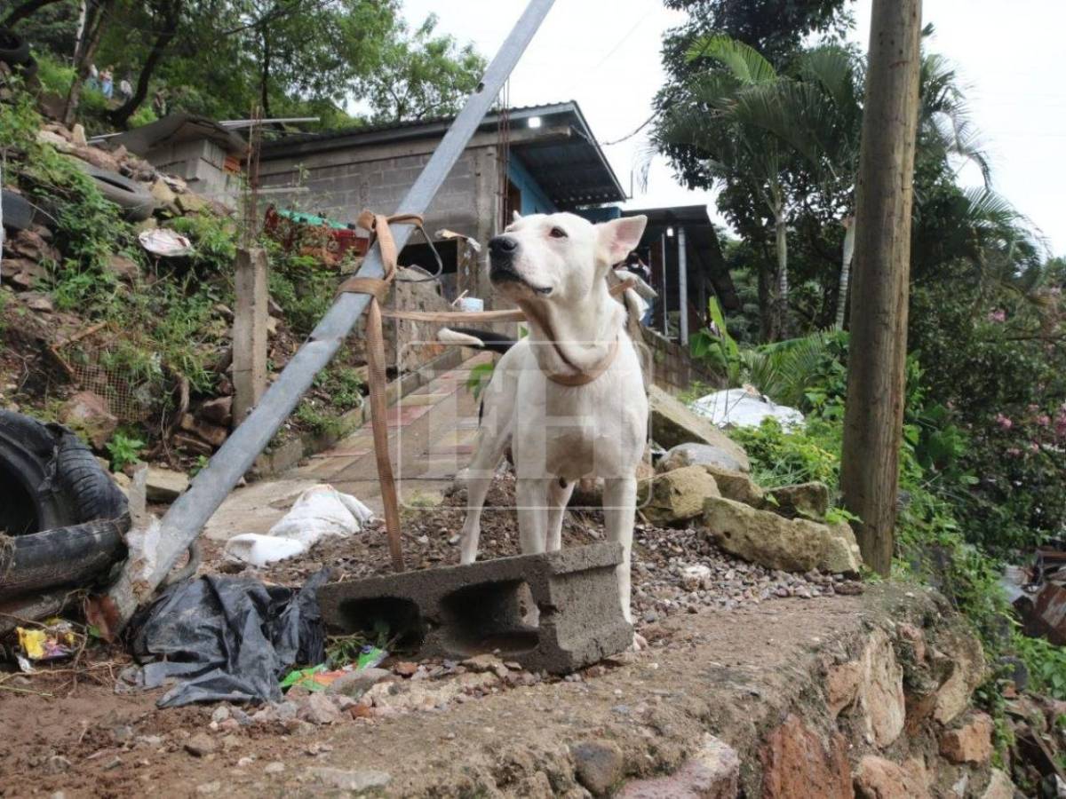 Afectados por deslizamiento en la Villa Unión regresan para conocer daños tras deslizamiento