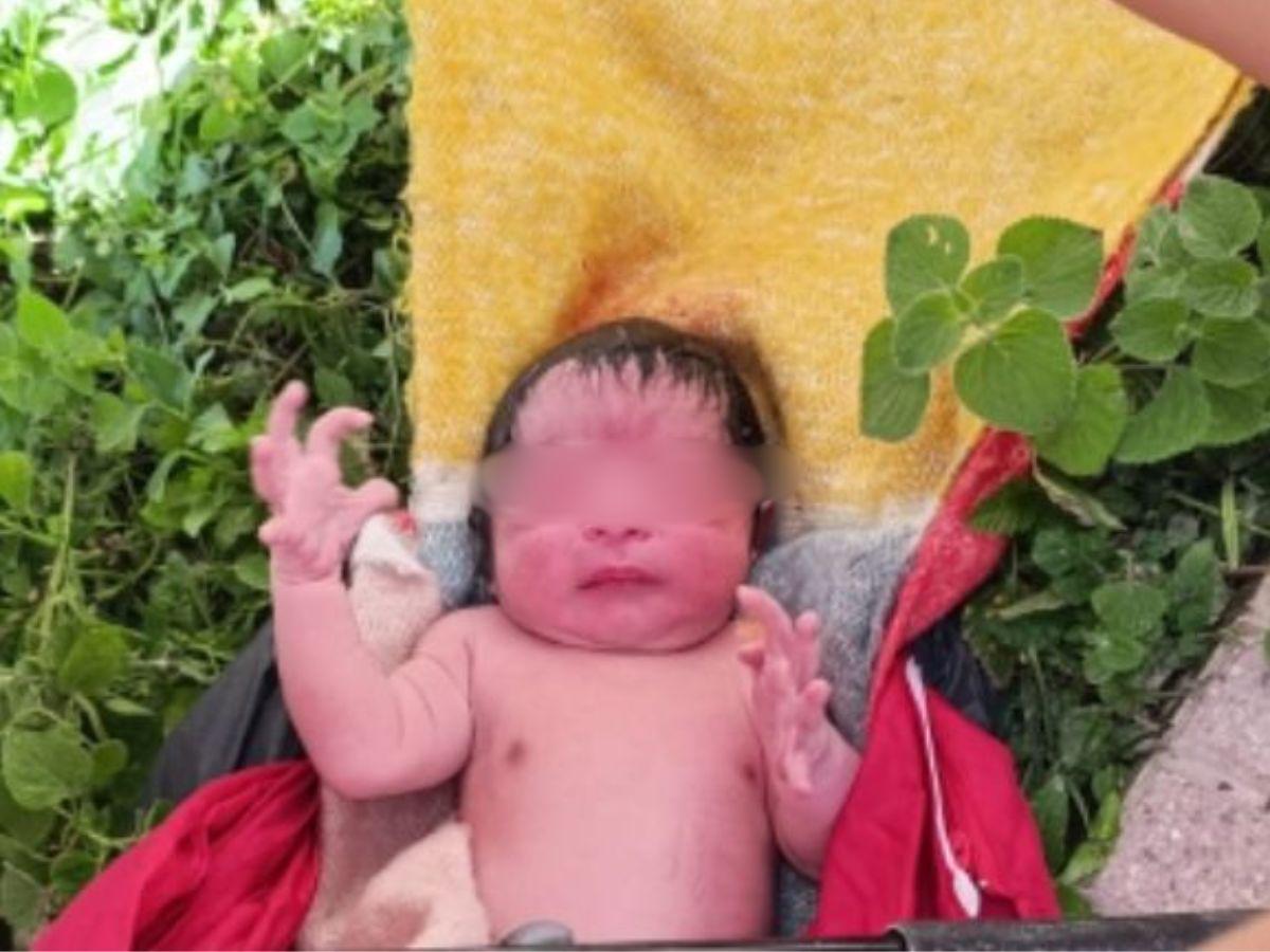 Envuelto en cobijas y dentro de una bolsa negra: así fue abandonado un bebé en Lepaterique