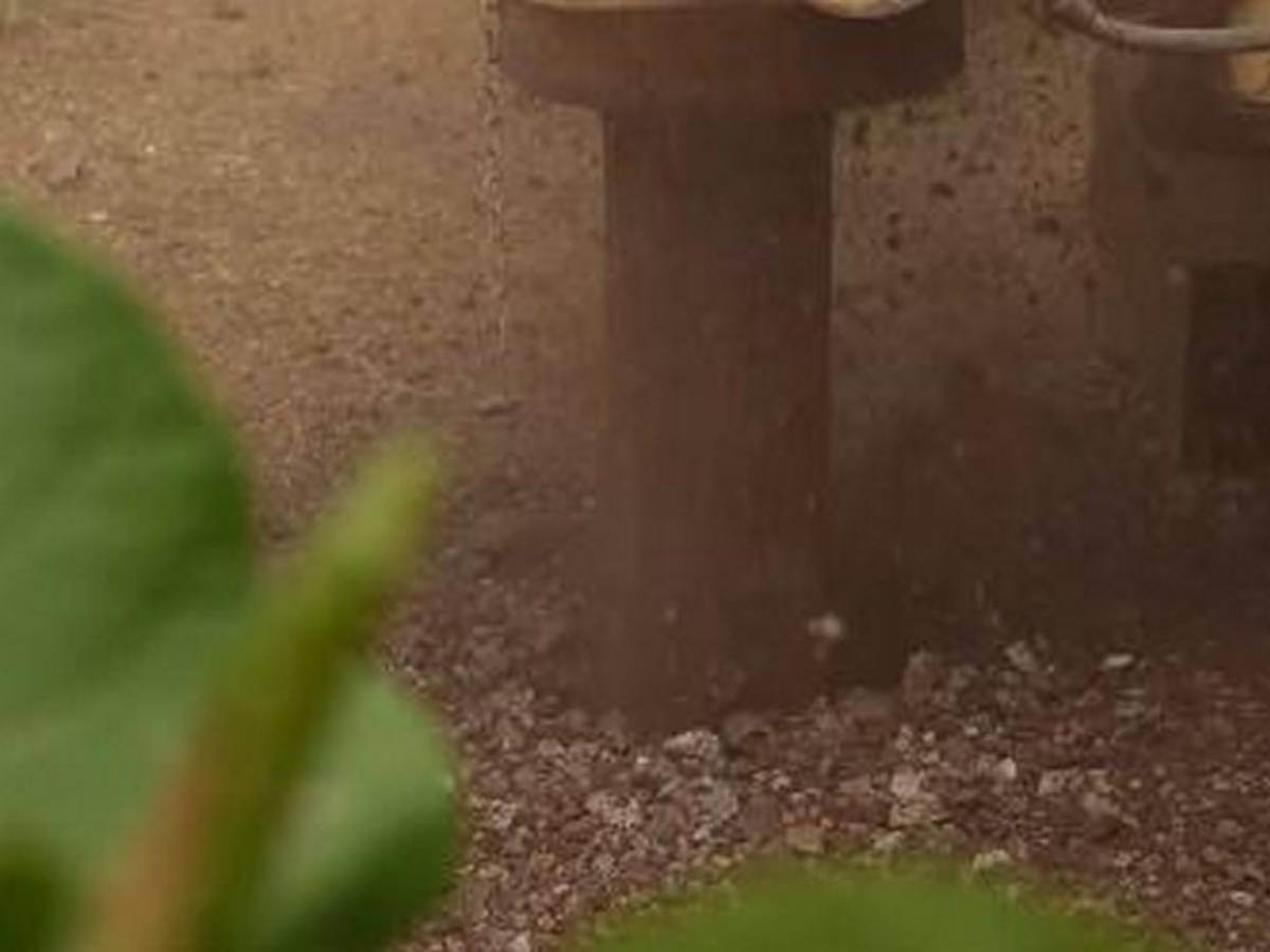 El momento en que brotó el agua durante perforación de pozo en el Distrito Central
