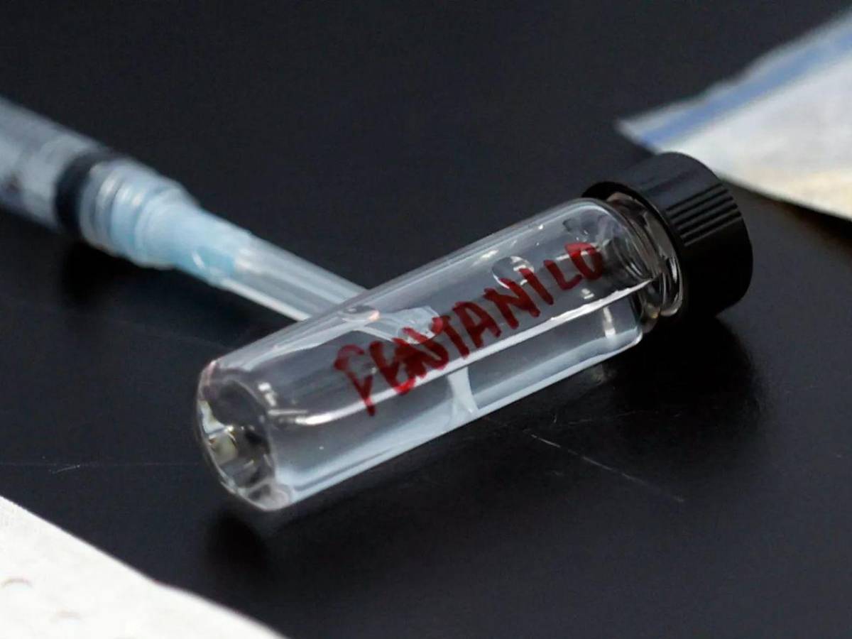 Cae red que enviaba mortal opioide desde China para fabricar pastillas en EE UU
