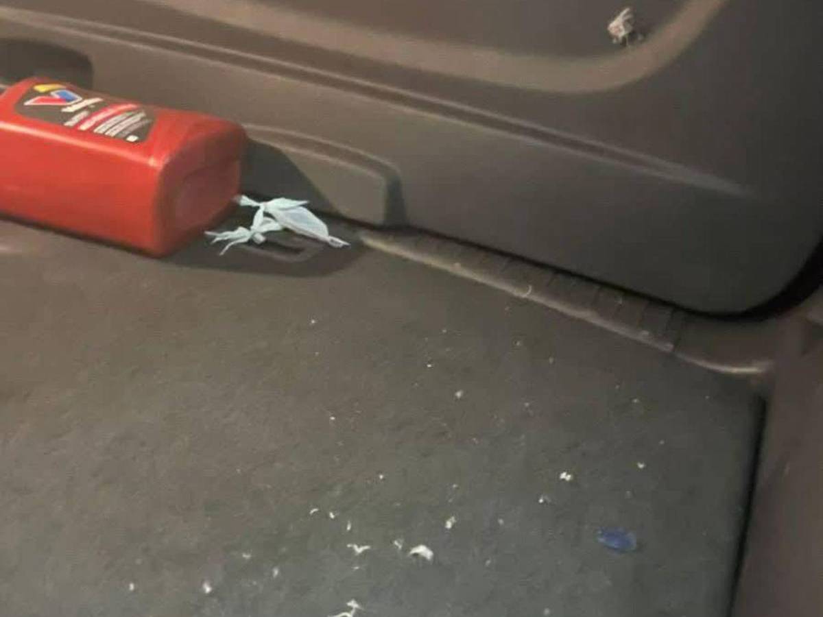 Iba con su hijo y el carro recibió seis disparos: atentado contra alcalde de Quimistán