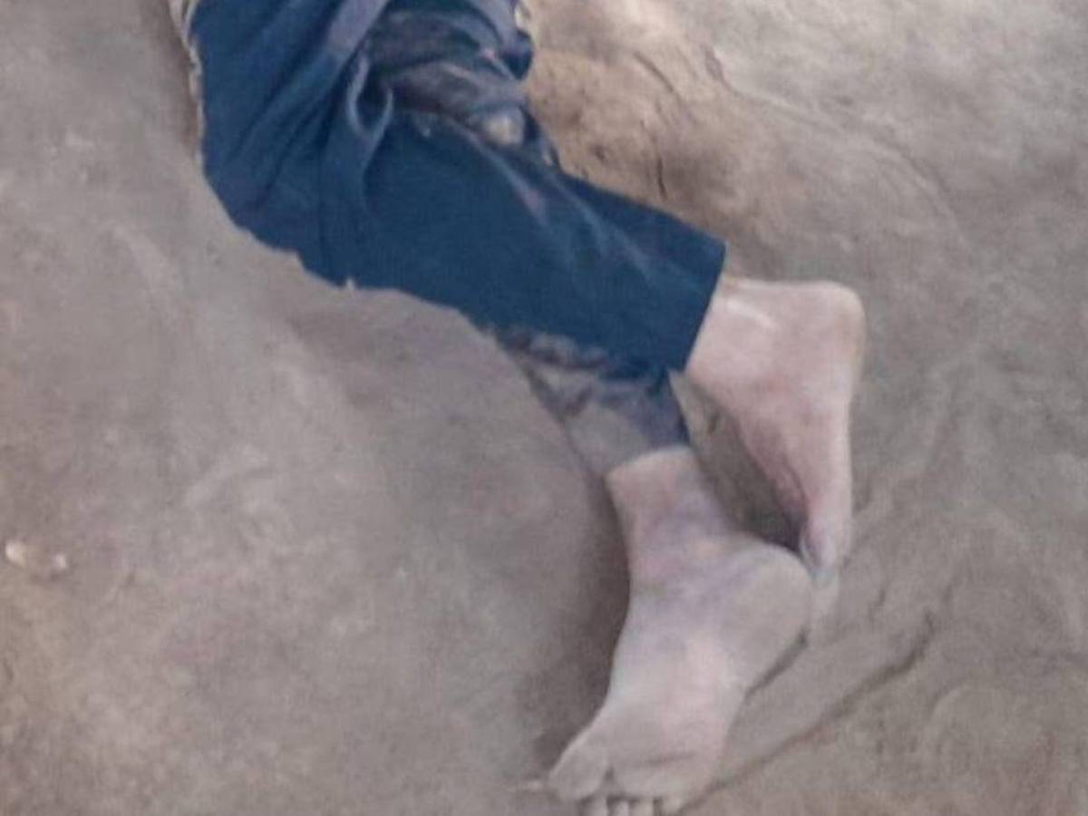 Lo atacaron con un palo: campesino es asesinado en Tocoa, Colón