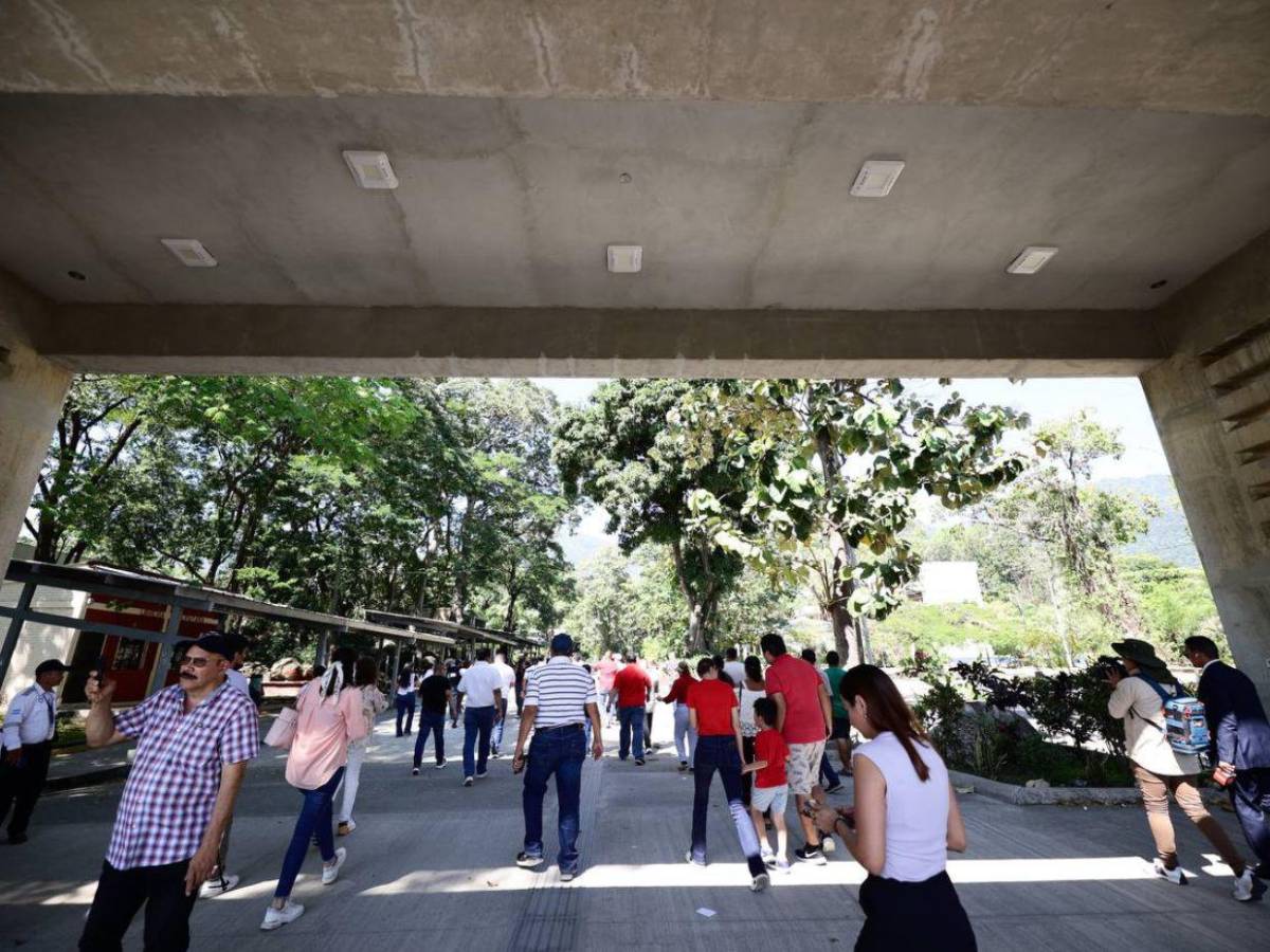 “Libre es una m...”: Roberto Contreras critica retraso en la apertura de urnas en SPS