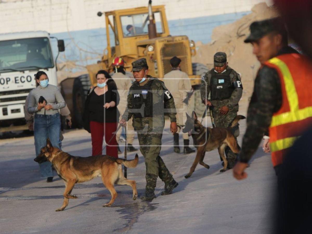 Maquinaria y equipos especializados y unas 40 horas de búsqueda: así fue el rescate de Claudia, Félix y Karen