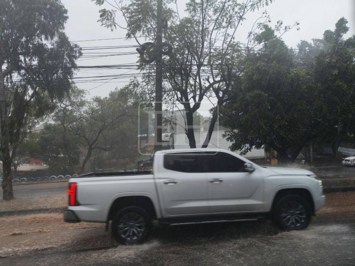 Tormentas eléctricas por onda tropical: zonas que deben tomar medidas por fuertes lluvias este domingo