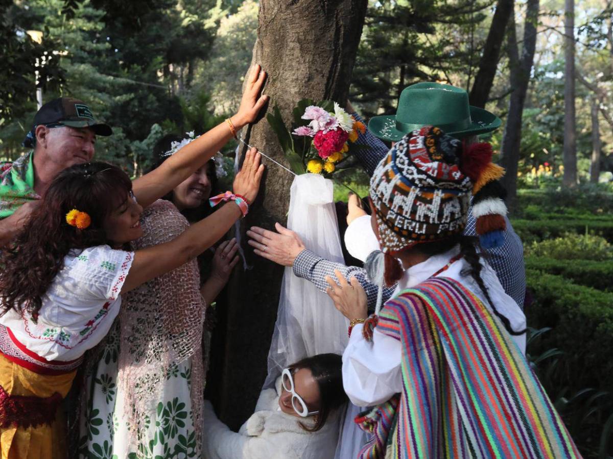Una boda poco común: 11 personas “se casan” con un árbol en CDMX para alzar la voz contra la deforestación