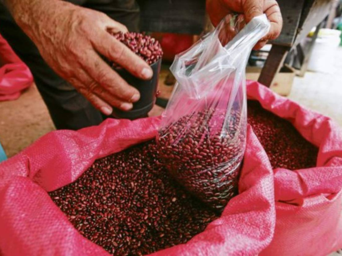 Gobierno anuncia medidas para frenar el aumento al precio del frijol en la capital