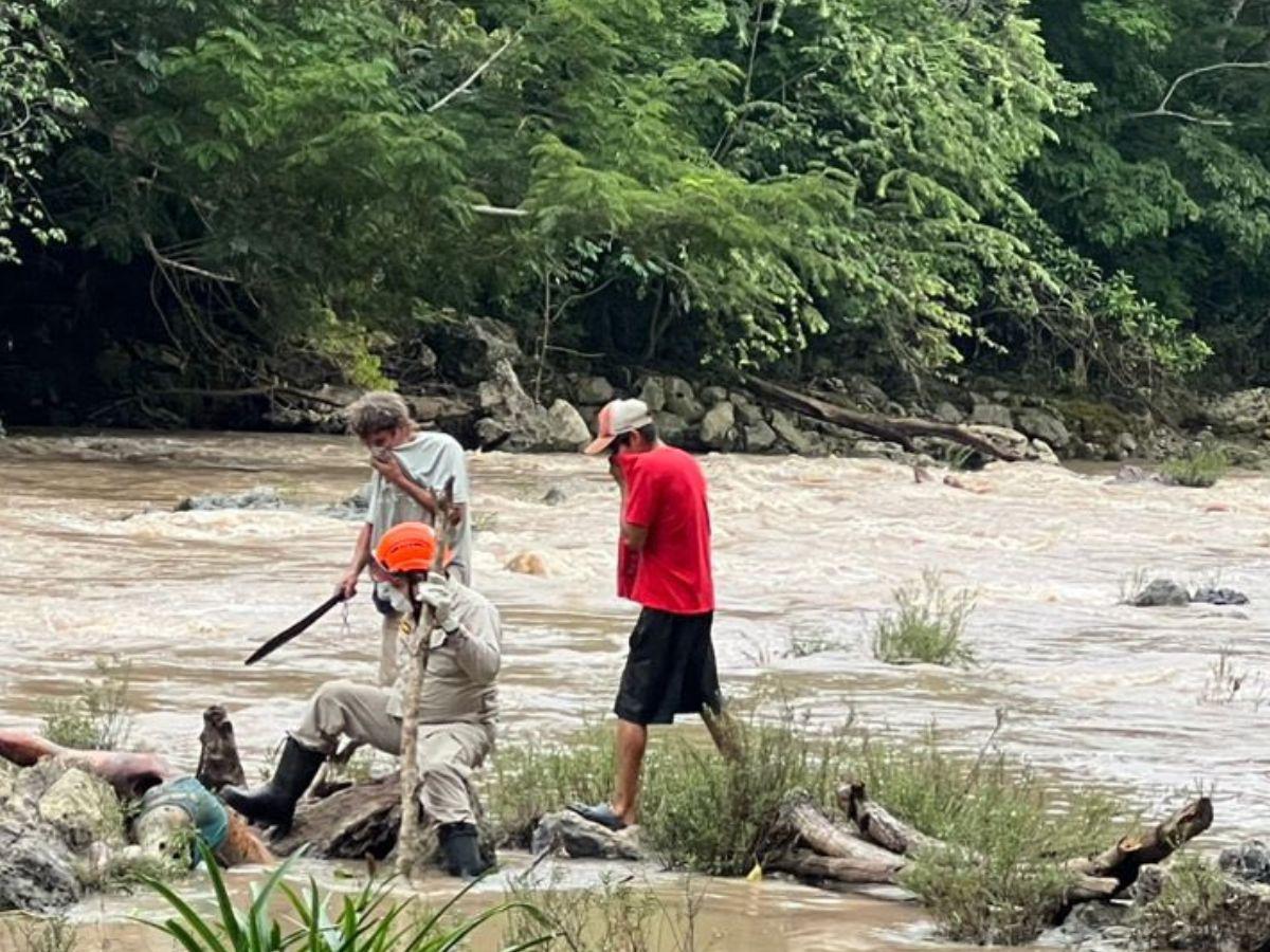Aves de rapiña lo devoraban: rescatan cuerpo en estado de descomposición del río Chamelecón