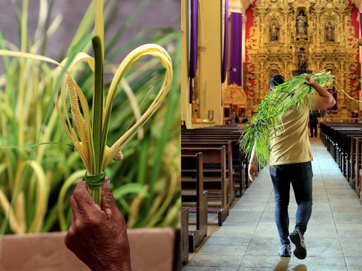 Con la tradicional venta de ramos: Así arranca la Semana Santa en Honduras