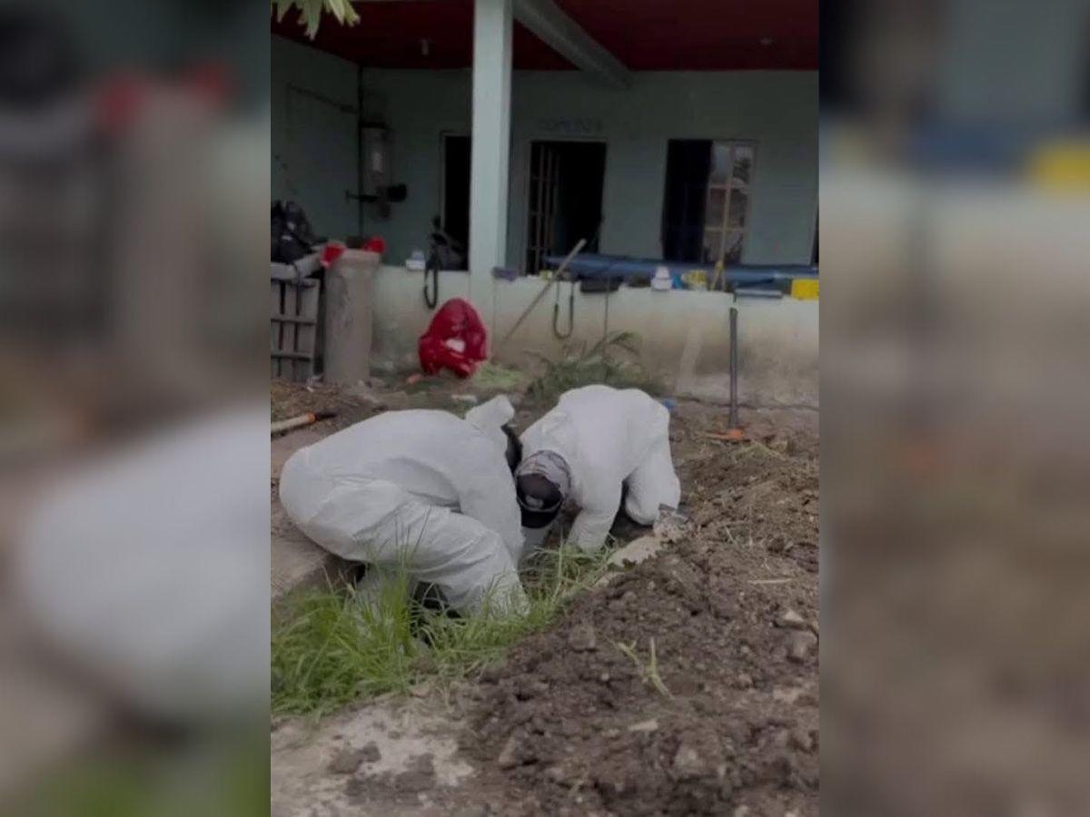 Localizan 32 cuerpos en fosa clandestina en Guanajuato, México