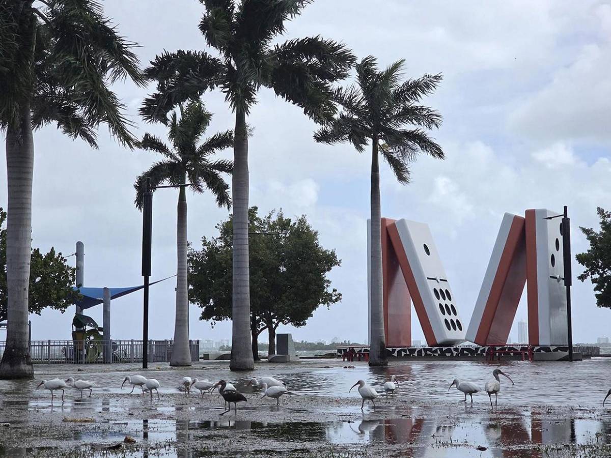 Marea extraordinaria pone en alerta de inundación al sureste de Florida
